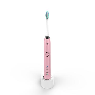 China Home\Hotel\Sonic Electric Travel Beauty Toothbrush IPX7 Waterproof Toothbrush For Home USE for sale