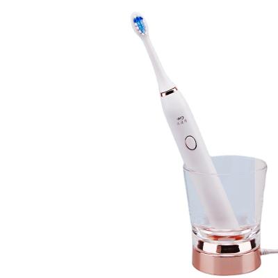 China Smart Sonic Whitening Dupont Soft Brush Toothbrush Electric Rechargeable Silent Electric Toothbrush 235*28mm for sale