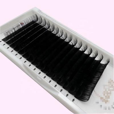 China Long Lash Tray Wholesale Individual Best Quality Wholesale Natural 0.03 0.05 Mega Volume Lashes 0.07mm Thickness for sale