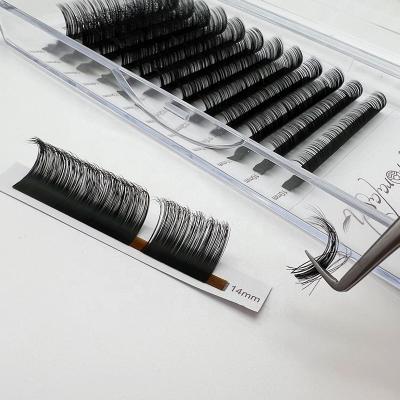 China Full Cashmere Lash Trays Loose Fans Individual Lash Eyelashes Wholesale Volume Eyelash 0.02 Volume Extension for sale