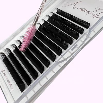 China Different Full Volume Eyelash Extensions Full Volume Lash Extension Hair Lash Trays Synthetic Silk Extensions Supplies for sale