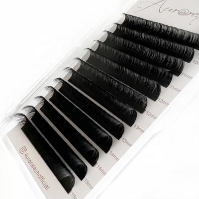 China Long Individual Private Label Natural Mink Eyelash Extension Cashmere Individual Matte Black Eyelash Extension Trays Volume Trays for sale