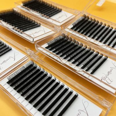 China Classic Lash Trays Cashmere Mink Eyelash Extensions Dual Density Volume Eyelashes C cc D High Quality 8-30mm Volume for sale