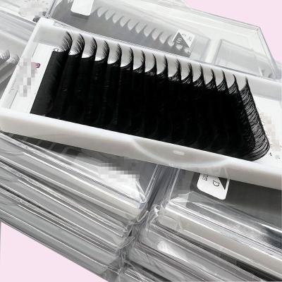 China Wholesale Private Label Lashes Full Volume Matte Lash Extension Supply Cashmere Eyelash Dark Extensions for sale