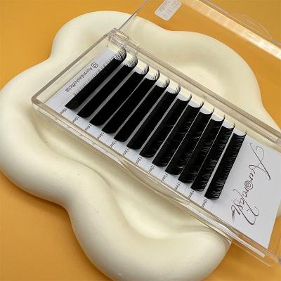 China Long Natural Extension Tray Handmade Silk Eyelash Individual Lash Professional Classic Private Label Eyelash Mega Volume for sale