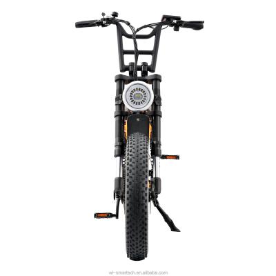 China Dual 48V 13Ah Drive Unisex Electric Bike Adults 500W Battery Mid Electric Bicycle Dirt Bike for sale