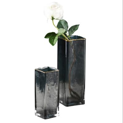 China Simplicity Fashion Flower Vase Hydroponic Clear Glass Dry Vase Ornament for sale