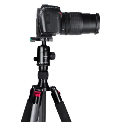 China Manbily cz-820 portable flexible professional tripod for camera carbon fiber tripod with tripod ball head for sale