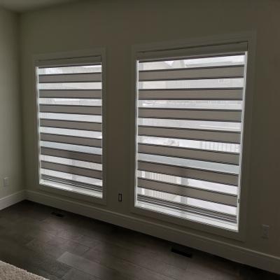 China 100% Home Horizontal Blackout Day Window Roller Double Roll Polyester Zebra Fabric Shade Shade for sale