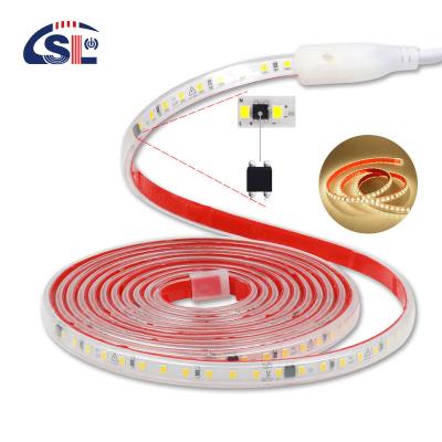 China 120 LEDs Flexible Tape Lamp with IC Home Lighting 110v/220V 2835 LED Strip Light Waterproof IP65 for sale