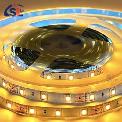 China Easy Installation DC12V SMD2835 60D LED Light Strips for Bathroom Vanities Mirrors for sale