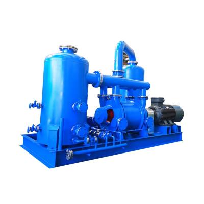 China Sector Energy Purpose Multi Purpose Single Stage Ring Centrifuge Liquid Circulating Water Vacuum Pump Unit For Chemical for sale