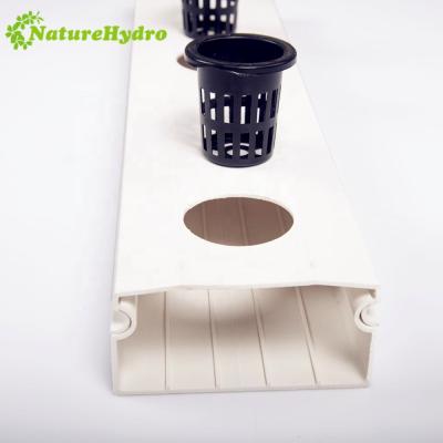 China Hydroponics Agricultural Plantation Wholesale 100X50mm NFT Hydroponic Channel for sale