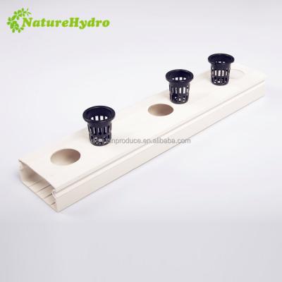 China Agriculture Planting Hydroponic New Product Nft PVC Channel Greenhouse for sale