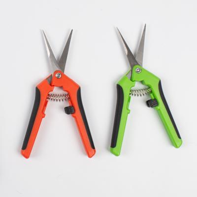 China Anti-Slip Handle Plant Trimming Garden Scissors Light Green Pruner for sale