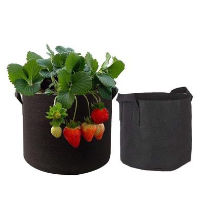 China Grow Plants Like Wholesale Tomato Nonwoven Fabric Plant For Growing Bags for sale