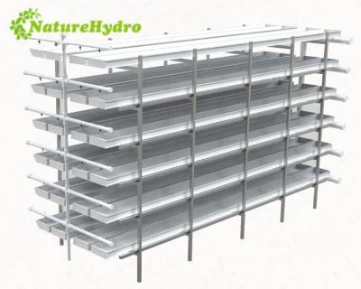 China For Grass Planting Microgreen Channels Wheat Hydroponic Grass Growing Trays Machine for sale