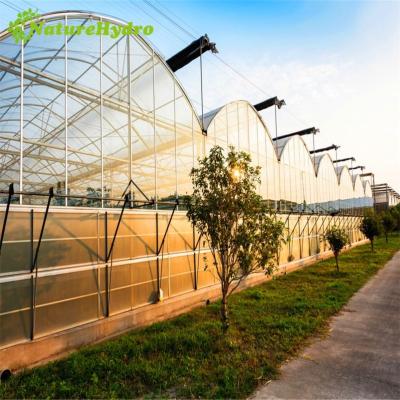 China Tropical Film Plastic Sheet Greenhouse For Sale for sale