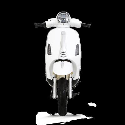 China moped motorcycle electric bike electric scooter self-balancing adult citycoco fast 10 - 20Ah for sale