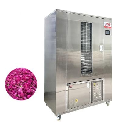 China High efficiency 100GN PLUS moringa leaf alfalfa drying machine multifunctional laboratory dehydrator oven for sale