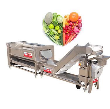 China Multifunctional Automatic Food Processing Machine For Vegetable Fruit Dried Mango Herb for sale