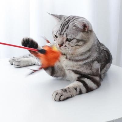 China Viable Interactive Funny Sticks Cat Feather Toy Multicolor Game for sale