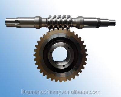 China Factory Pusher Worm Gear and Worm Shaft for sale