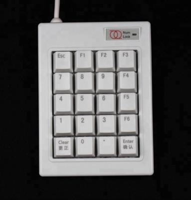 China Professional High Quality White Number 20keys Numeric Keypad USB Numeric Mechanical Keyboard for sale