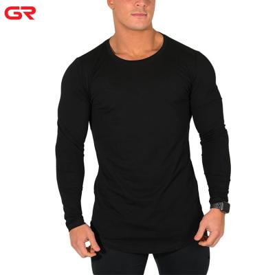 China Anti-pilling custom empty gym tee shirts curved hem slim fit men's muscle fit T-shirt gym for sale