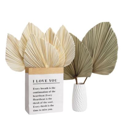 China Palm Leaf Dry Flower Dried Palm Leaves White Palm Leaf Dry Fan Dried Palm Leaves Fan YOPIN A20 Wedding Decor Flower for sale