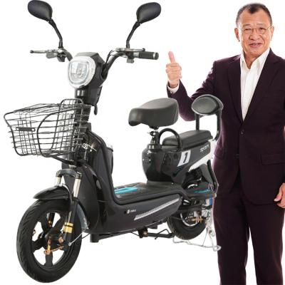 China Multifunctional Purchase Low Price Fast Shipping Electric Bicycle Bike Made In China for sale