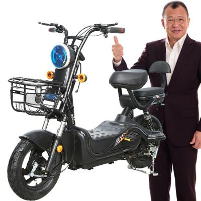 China Multifunctional Online Wholesaletor Electric Bicycle Fast Shipping For Adults Men for sale