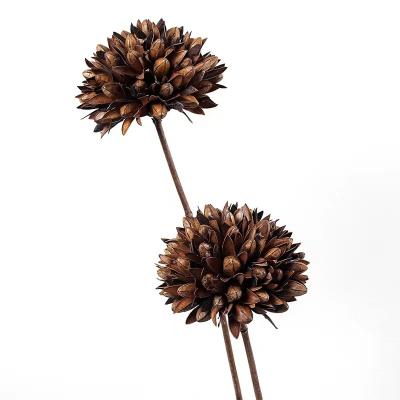 China Craft Flowers Wholesale Wedding Shop Store Craft Flowers Magnolia Home Decorative Ball Dried Flower for sale