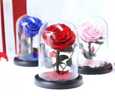 China Dried Flowers Wholesale Hot Selling Wedding Decorations Valentine Gift Preserved Roses Dried Flower for sale