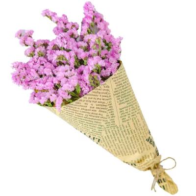 China Dry Forget Me Not Wholesale Dried Flowers Popular Preserved Flowers Forget Me Not Myosotis Decor Wedding Home Decoration for sale