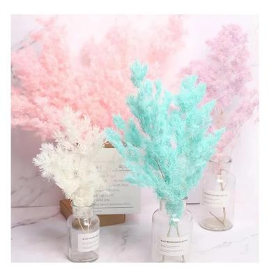 China Yunnan Hot Sale Preserved Flower Real Touch Flower Preserved Ming Fern Asparagus For Wedding Decoration 60-70cm for sale