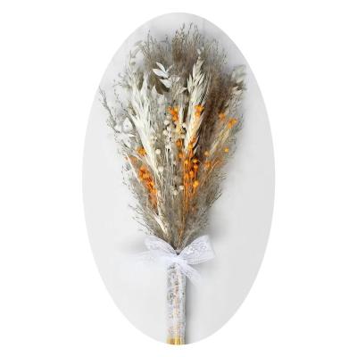 China Dried Flowers Wholesale Bouquet Bridal Hot Wedding Home Decoration Natural Pampas Grass Dried Flowers Bunny Tail Grass Bouquet for sale