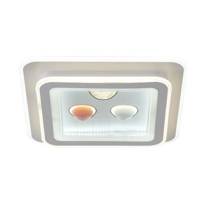 China Factory Price Smart Ceiling Light Decorative Fancy Outdoor Mounted Remote Control Indoor Led Ceiling Light for sale