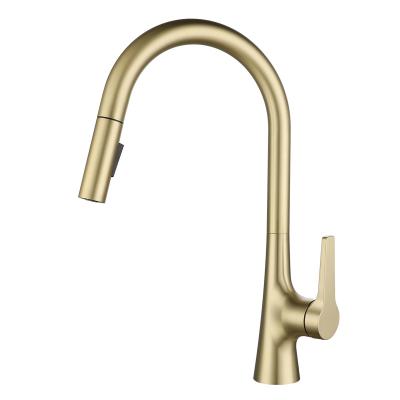 China Pull Out Spray Pull Out Kitchen Faucet With Modern Single Lever Kitchen Sink Mixer With Pull Down Sprayer Brass Kitchen Faucet for sale