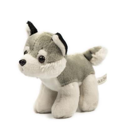 China Plush Toy Undertale All Kinds Of Spot Sitting Stuffed Dog 25cm High for sale