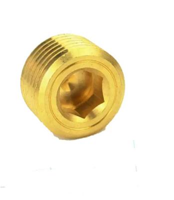 China 20 40 60 1/8 1/4 3/8 NPT Brass Standard Plastic Molds Water Pipe Socket WWPB-05 10 for sale