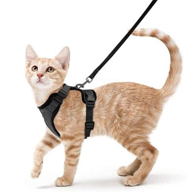 China 2022 Viable Most Popular Pet Cat Pulling Rope Reflective Anti Breaking Cat Rope Pet Supplies Loose for sale