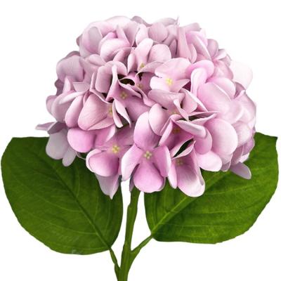 China Real Feeling Real Touch Moisturizing Pink Purple Flowers Bulk Hydrangeas Silk Hydrangea for sale