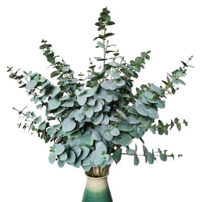 China Large Best Realistic Green Fake Eucalyptus Branches Bulk Artificial Eucalyptus Stems for sale