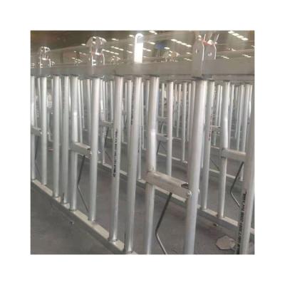 China Cow Farm Perferred Direct Selling Hot Dip Galvanized Impregnable Feeder Dairy Cow Head Locks for sale