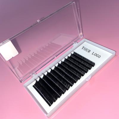 China Individual Volume Wick Extension Private Label Eyelash Extension Lashes Manufacturer Supplies Product Own Brand Korean Silk Soft Siberian Mink for sale