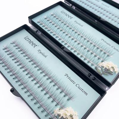 China Natural Factory Supply 0.07 Group 10D Lashes Long Big Stock Hot Melt Eyelash Extensions for sale