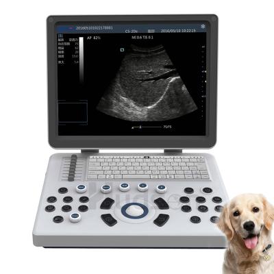 China Plastic and Metal Veterinary Ultrasound Equipment with Convex Linear Array and Probe Portable Ultrasound Scanner for Dog Cat for sale