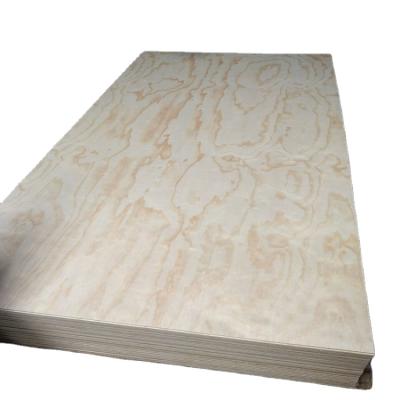 China Contemporary Factory Directly Supply For Stacking Chair Glue Plywood Sheets for sale