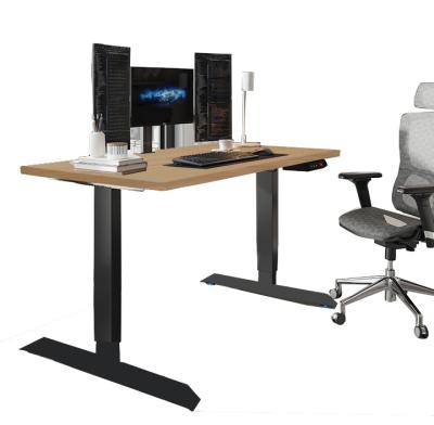 China (Height) Adjustable Desk Standing Ergonomic Electric Height Adjustable Tables for sale